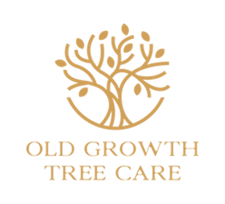 Old Growth Tree Care - Pittsburgh, PA