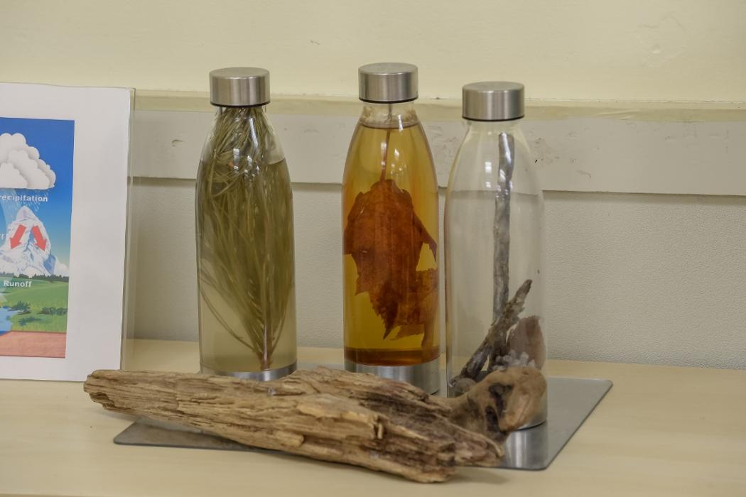 Bright Horizons at Erie - Erie, PA