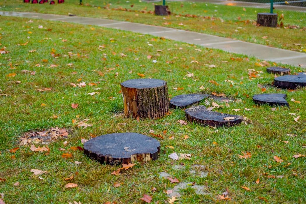 Bright Horizons at Erie - Erie, PA