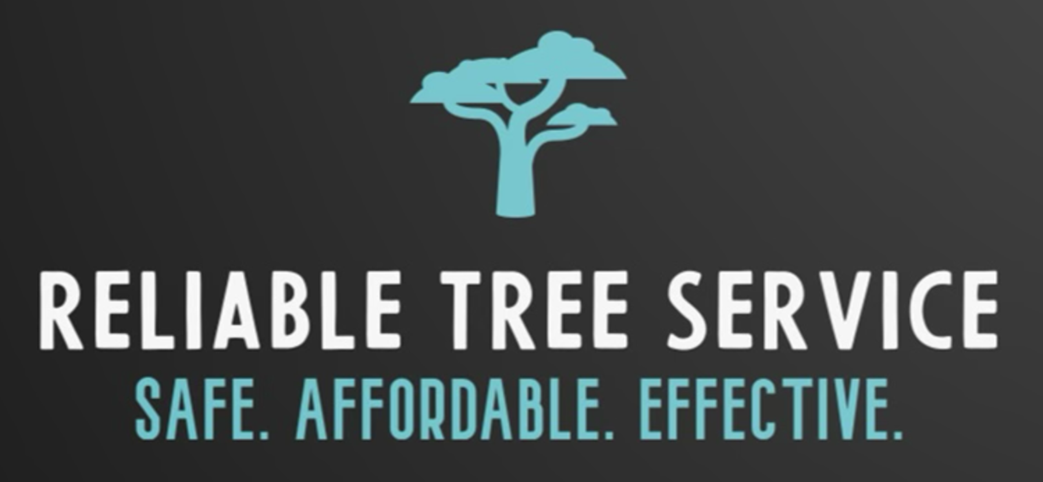 Reliable Tree Service - Winter Park, FL