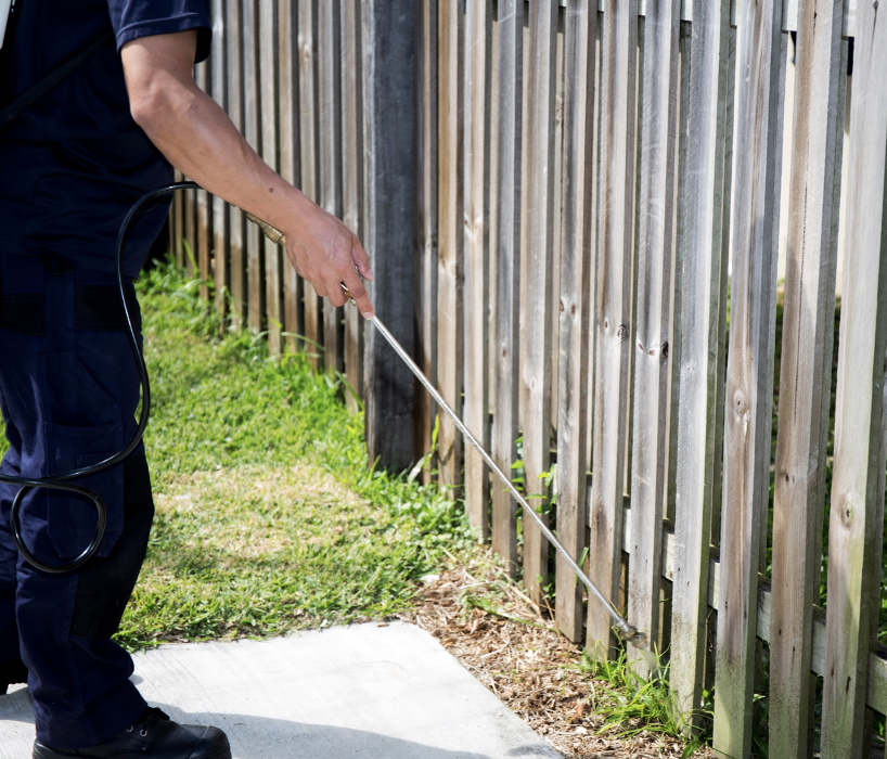Gulf Coast Pest Control - Panama City, FL