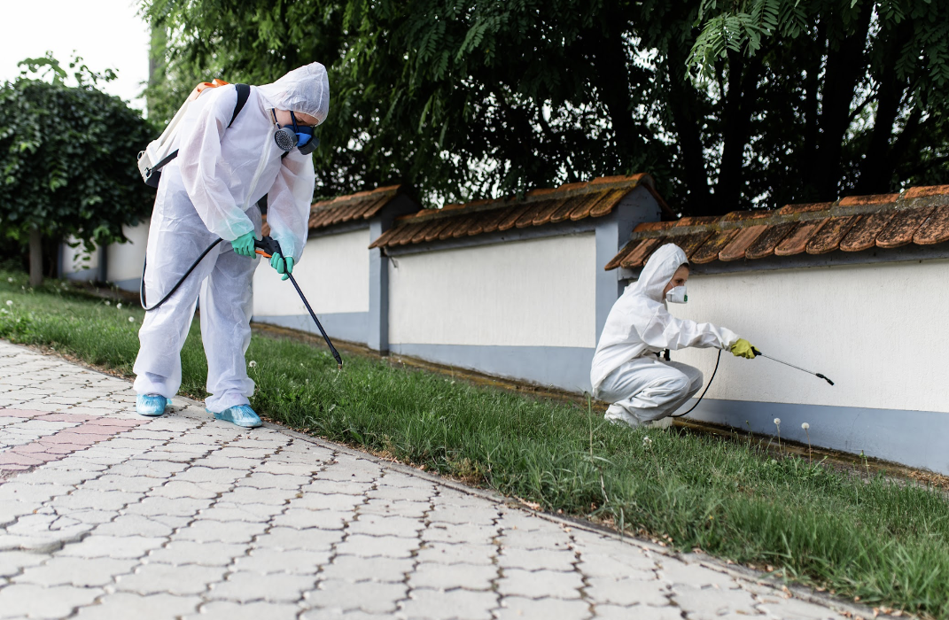 Gulf Coast Pest Control - Panama City, FL