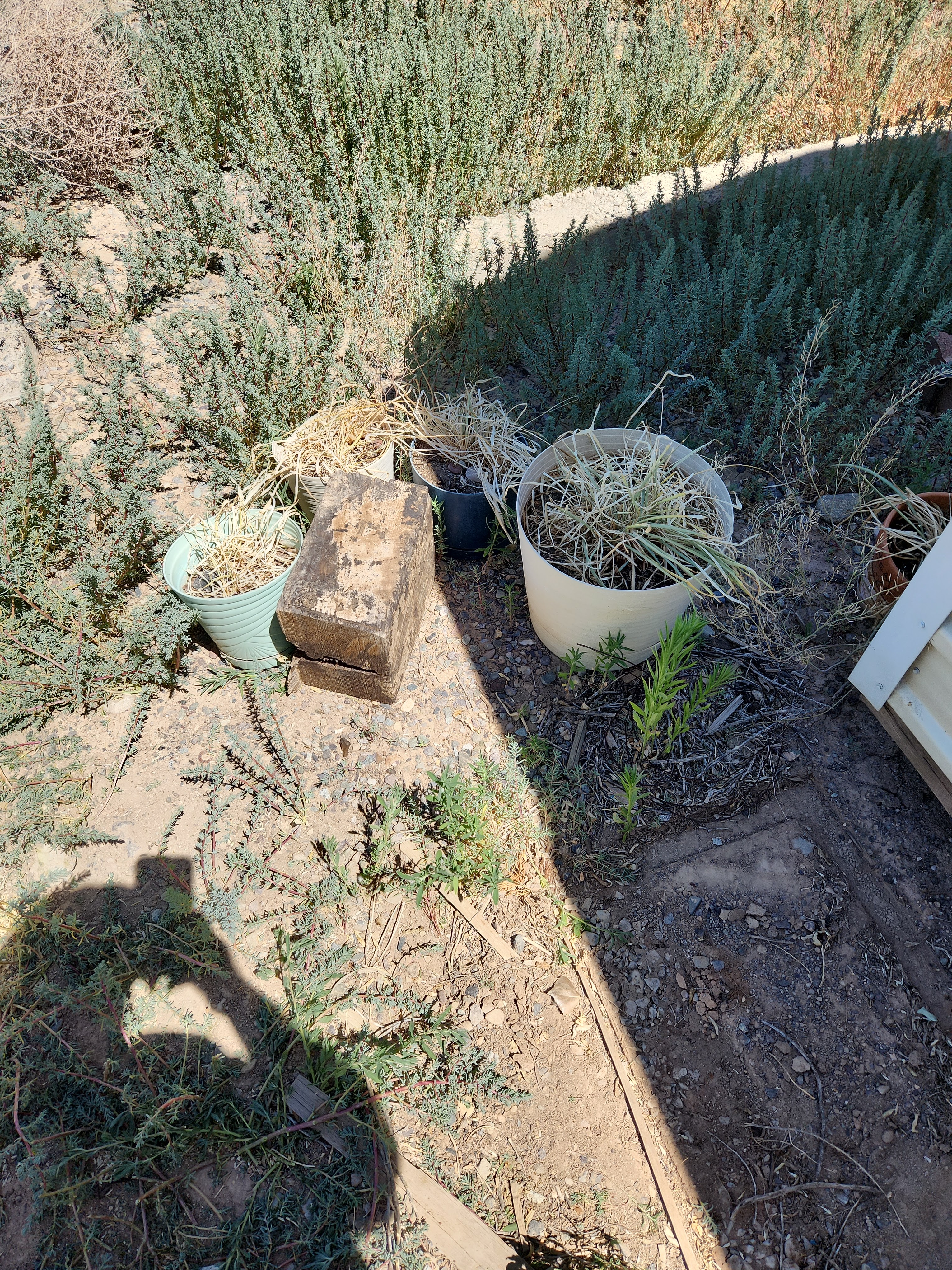 Image 3 | High Desert Haulers and Junk Removal