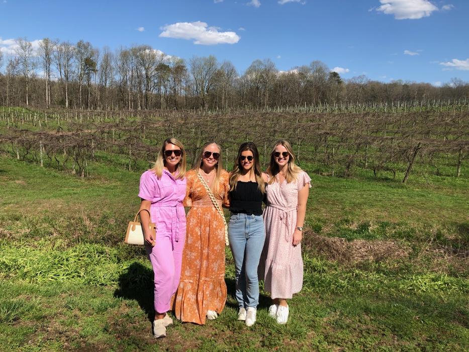 Blue Ridge Safe Rides LLC - Blue Ridge, GA