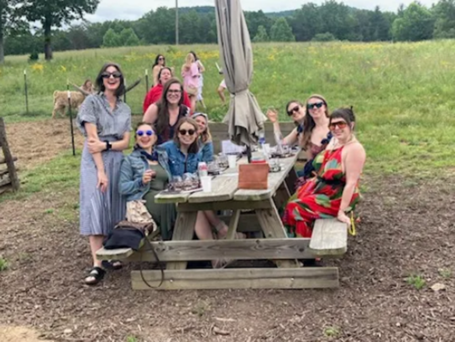 Blue Ridge Safe Rides LLC - Blue Ridge, GA