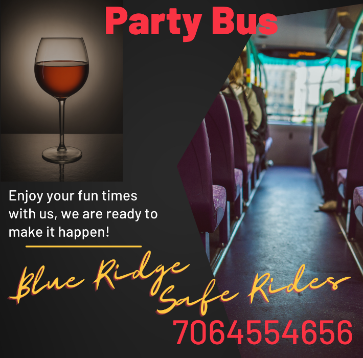 Blue Ridge Safe Rides LLC - Blue Ridge, GA