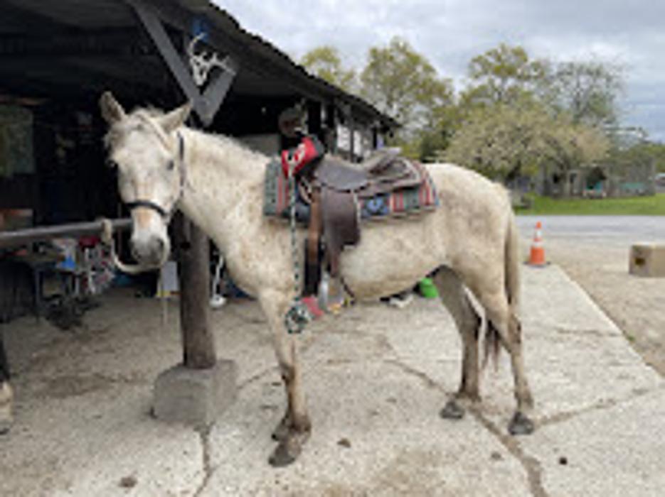 Blue Ridge Ranch - Bath, PA