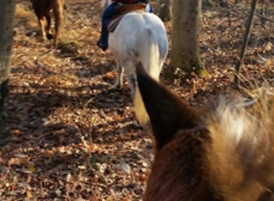 Blue Ridge Ranch - Bath, PA