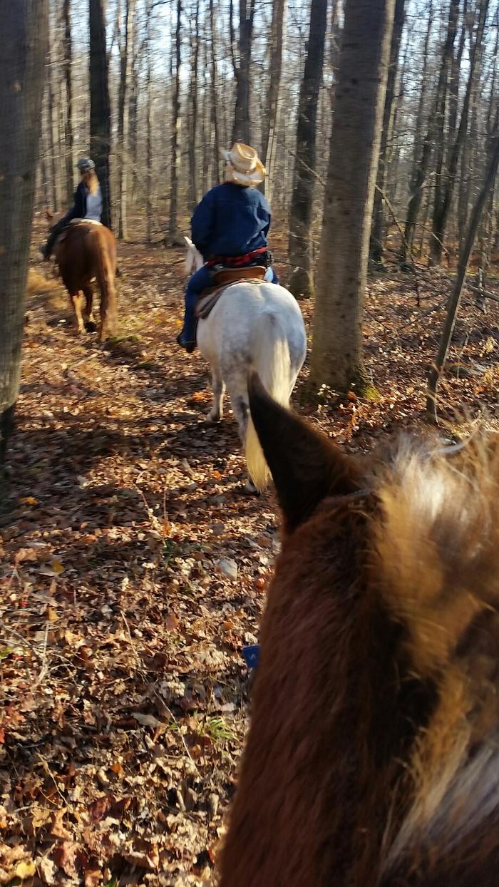 Blue Ridge Ranch - Bath, PA
