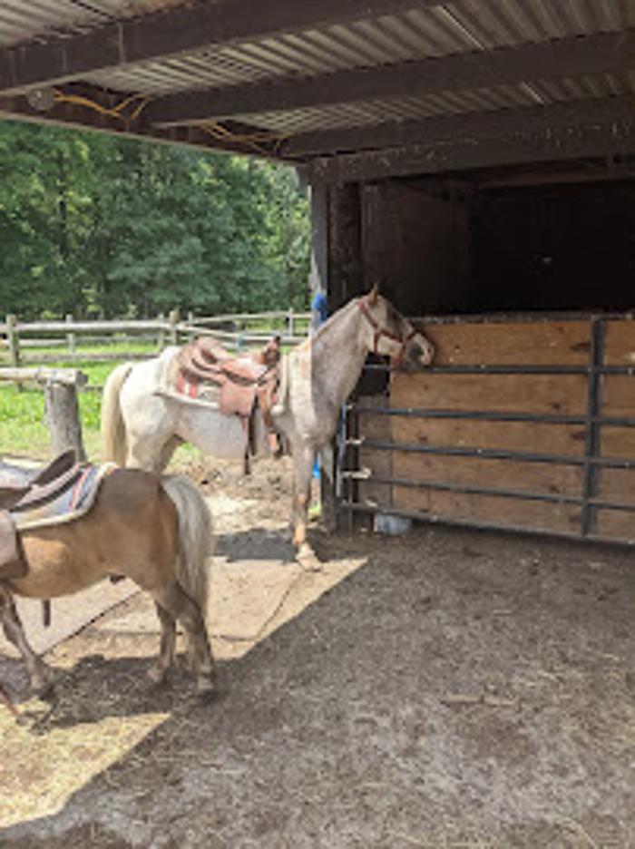 Blue Ridge Ranch - Bath, PA