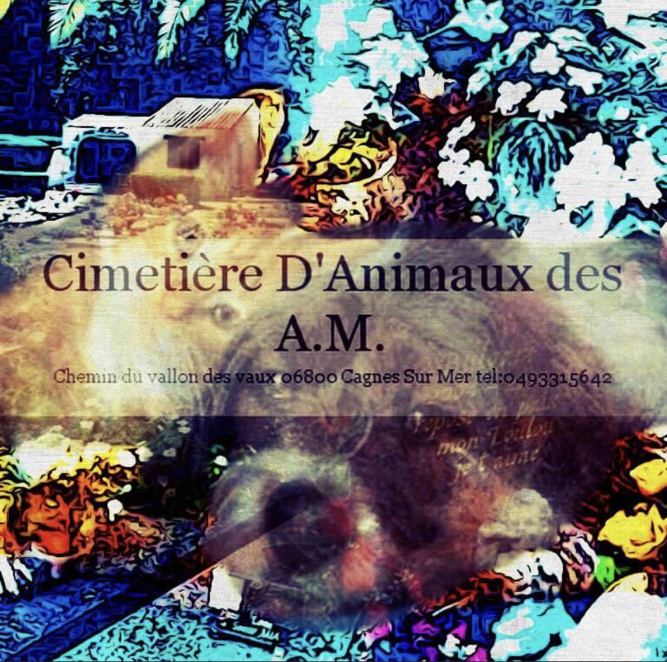 Cimetière D'Animaux cimetière