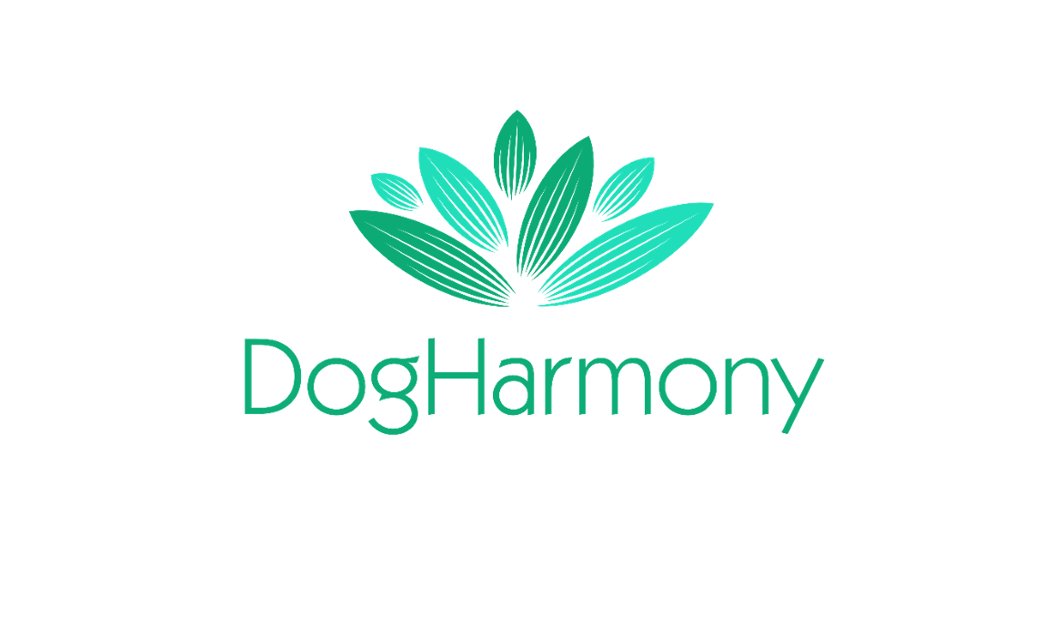 Bild zu DogHarmony in Mönchengladbach Bild zu DogHarmony in Mönchengladbach