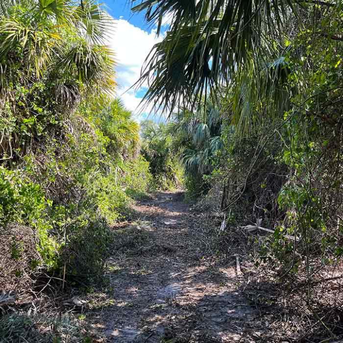 Southeastern Land Solutions - Lakeland, FL