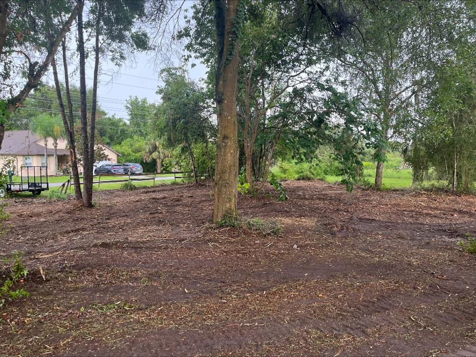 Southeastern Land Solutions - Lakeland, FL