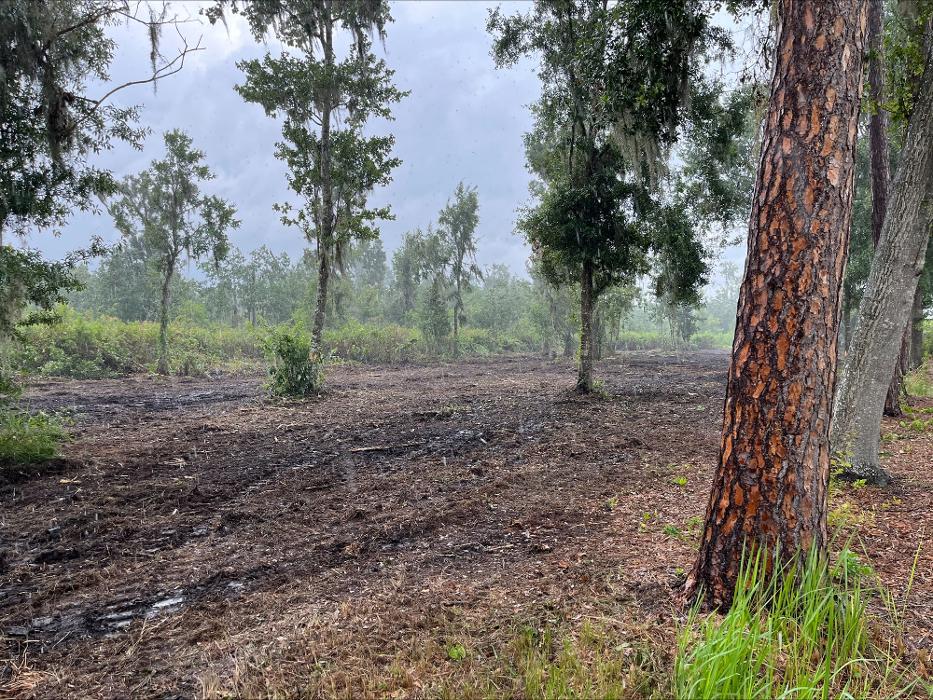 Southeastern Land Solutions - Lakeland, FL