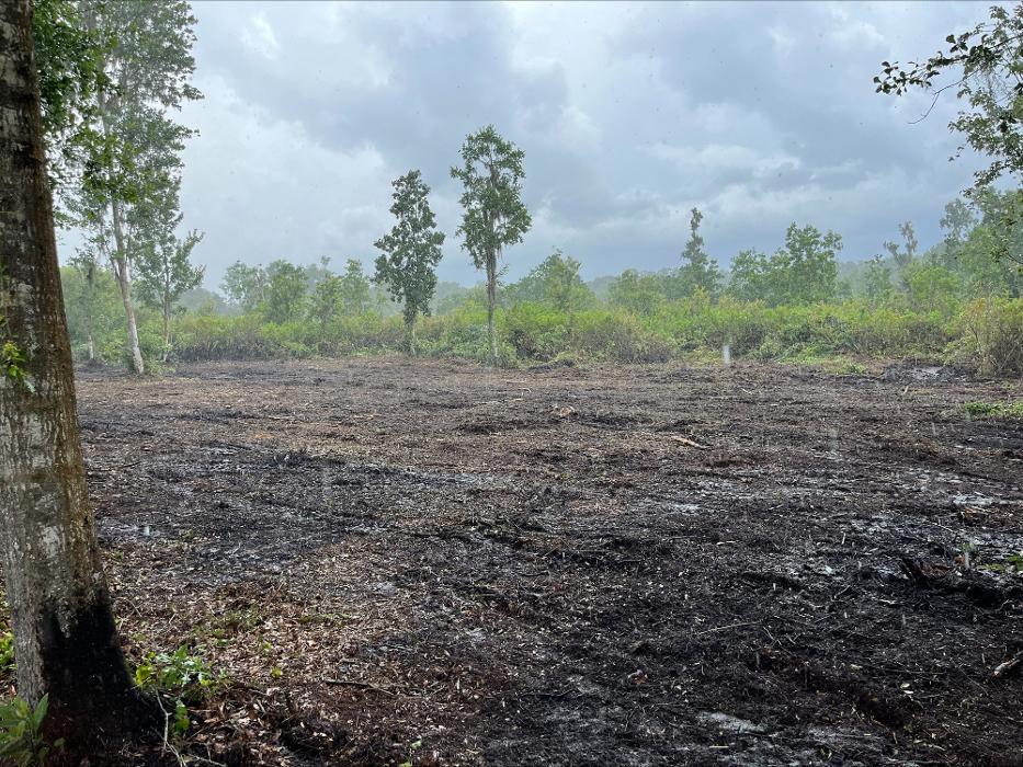 Southeastern Land Solutions - Lakeland, FL