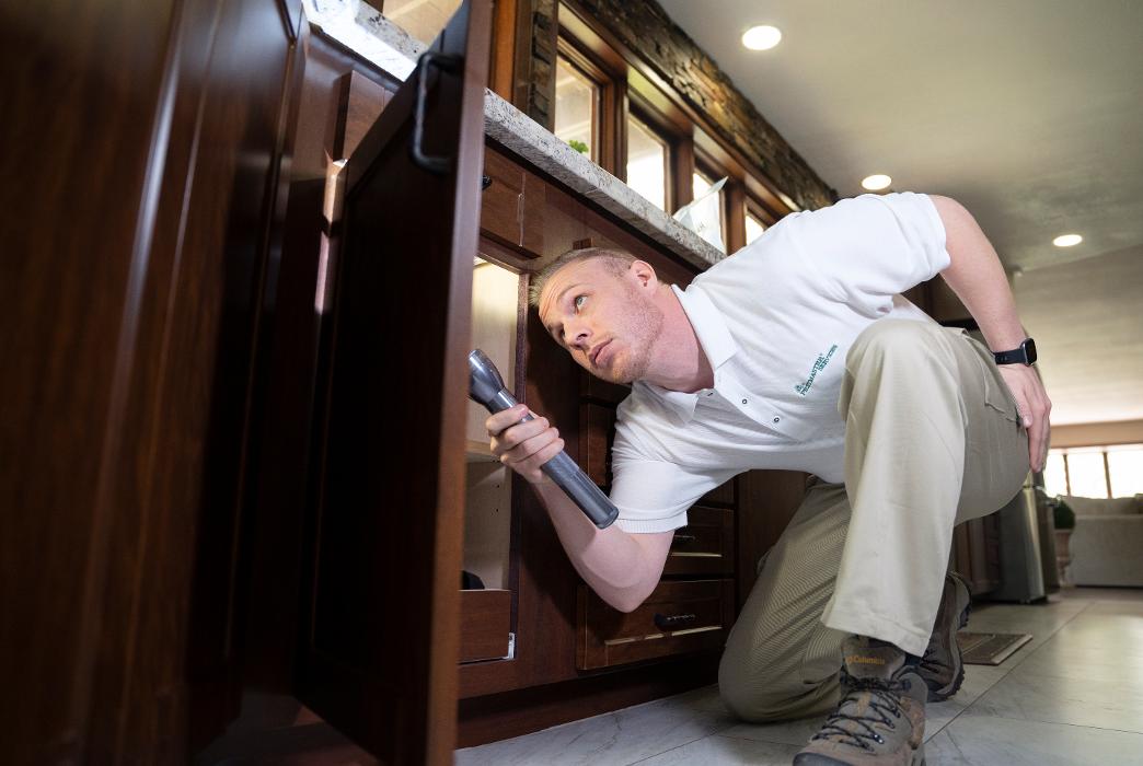 Pest Master - Pineville, NC