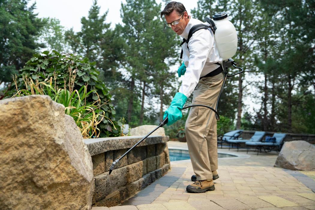 Pest Master - Pineville, NC