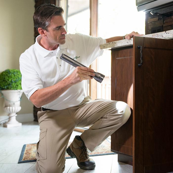 Pest Master - Pineville, NC