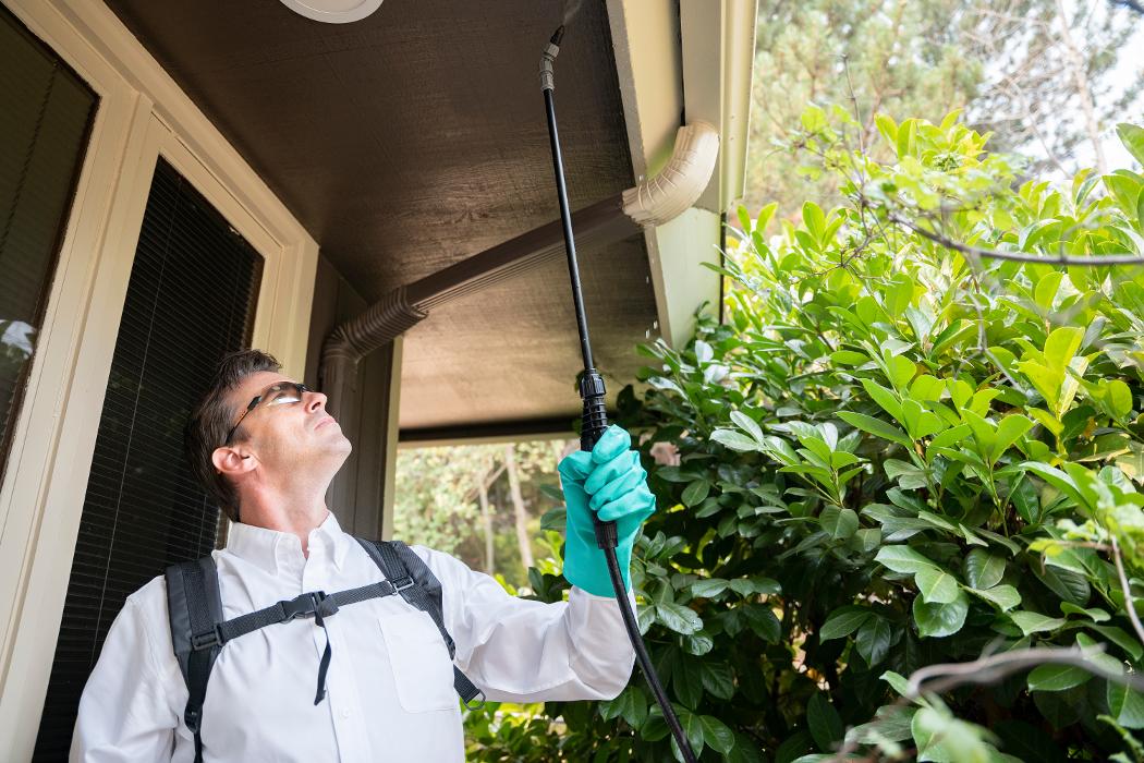 Pest Master - Pineville, NC
