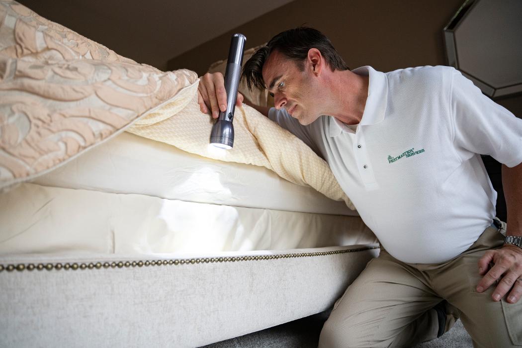 Pest Master - Pineville, NC
