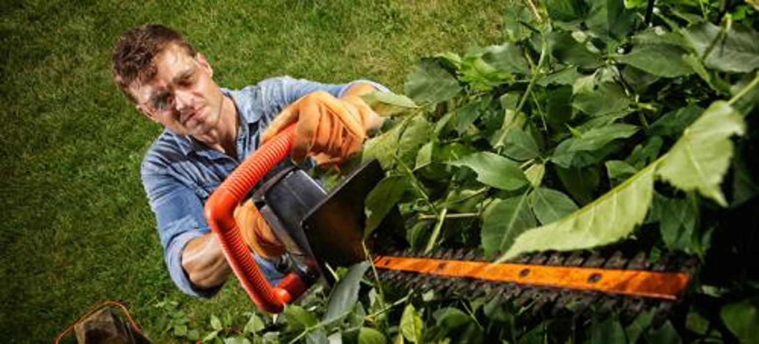Rexrode Tree Service - Sarasota, FL