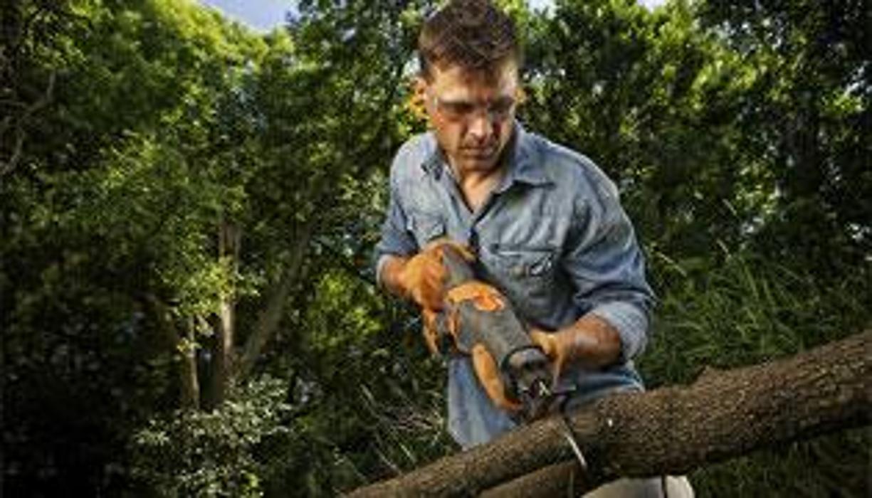 Rexrode Tree Service - Sarasota, FL