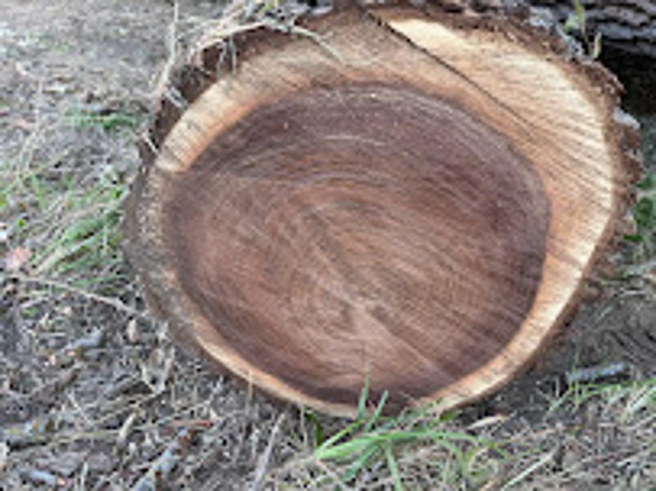 RedHawk Tree Service - Greeley, CO