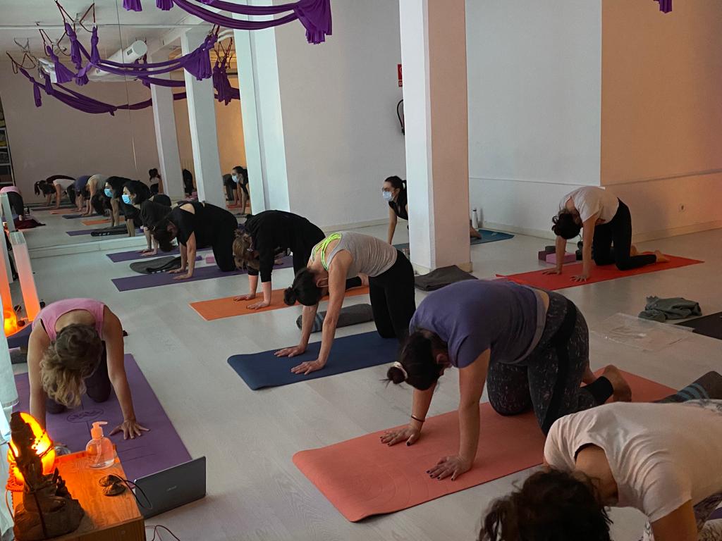 Galería en miniatura