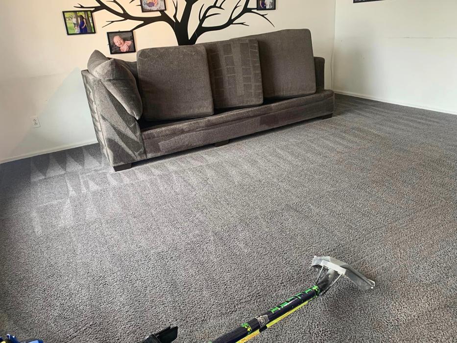 Reunion Carpet Care - Broomfield, CO