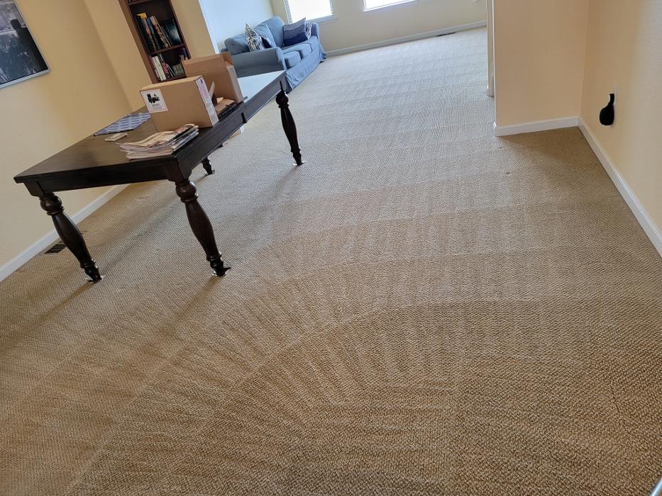 Reunion Carpet Care - Broomfield, CO