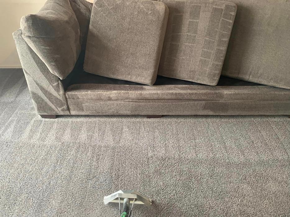 Reunion Carpet Care - Broomfield, CO