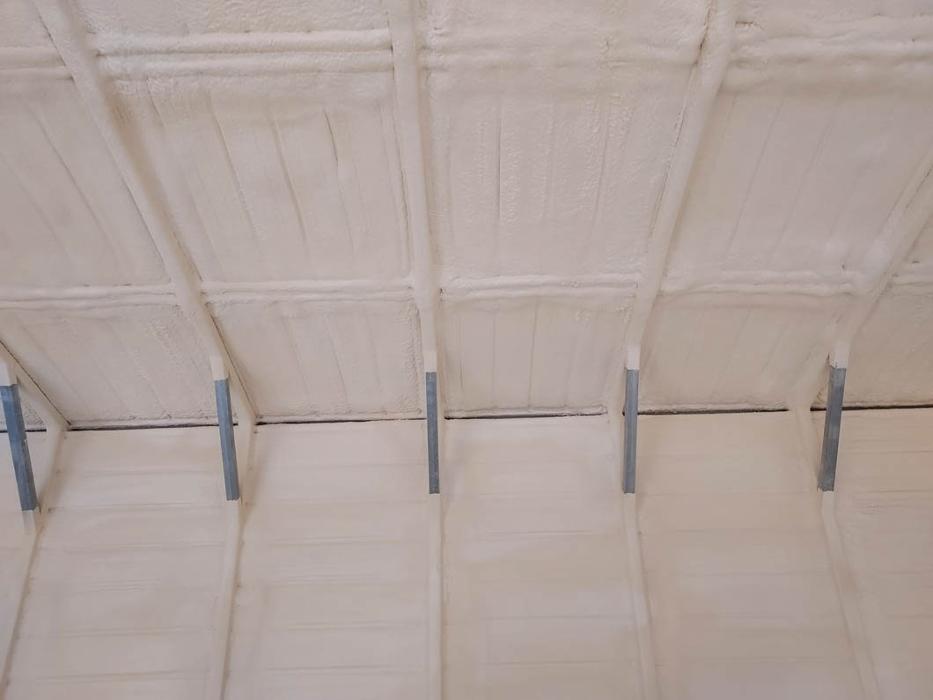 Absolute Spray Foam Inc. - Loris, SC