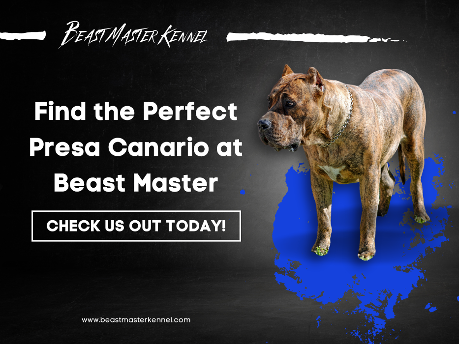 Beast Master Kennels - Minneapolis, MN