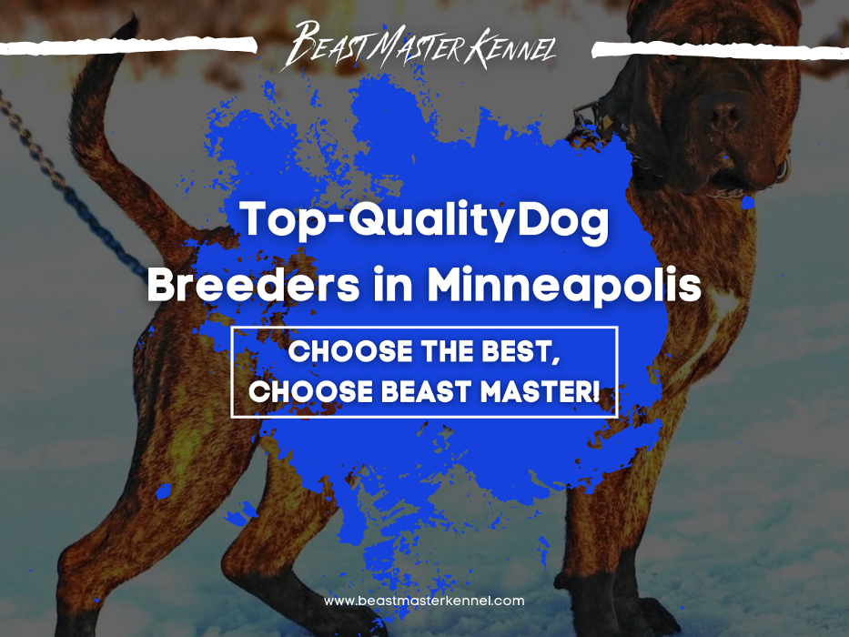 Beast Master Kennels - Minneapolis, MN