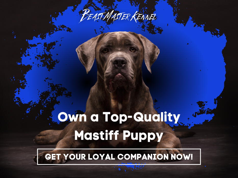 Beast Master Kennels - Minneapolis, MN