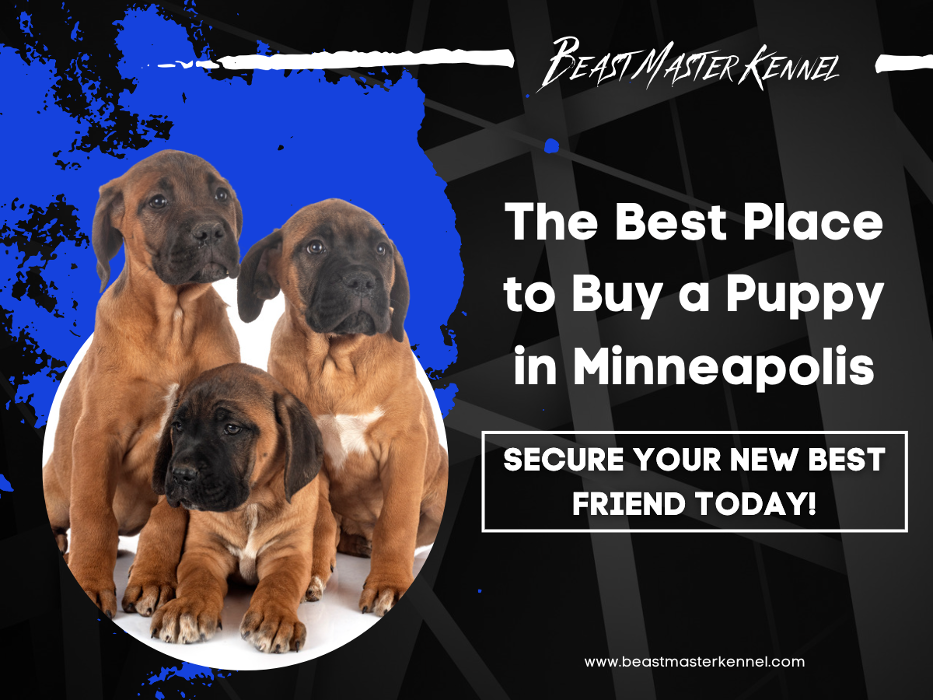 Beast Master Kennels - Minneapolis, MN