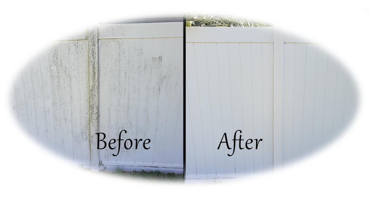 Scenic Home Services - Cape Coral, FL