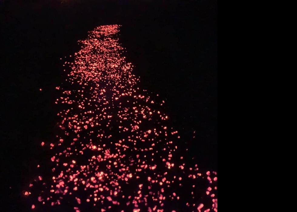 Ignite Firewalk Foundation - Middletown, DE