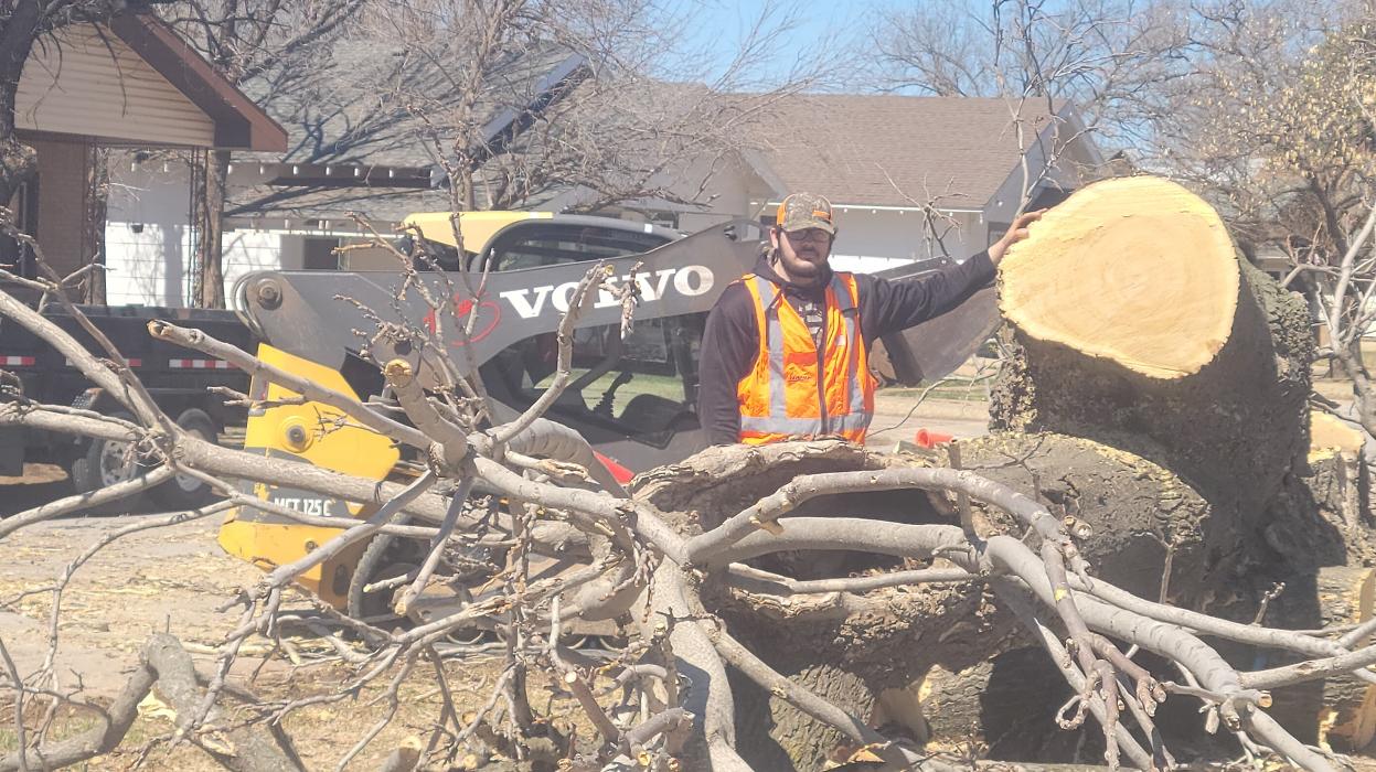 McClure's Tree Service LLC - Cleo Springs, OK