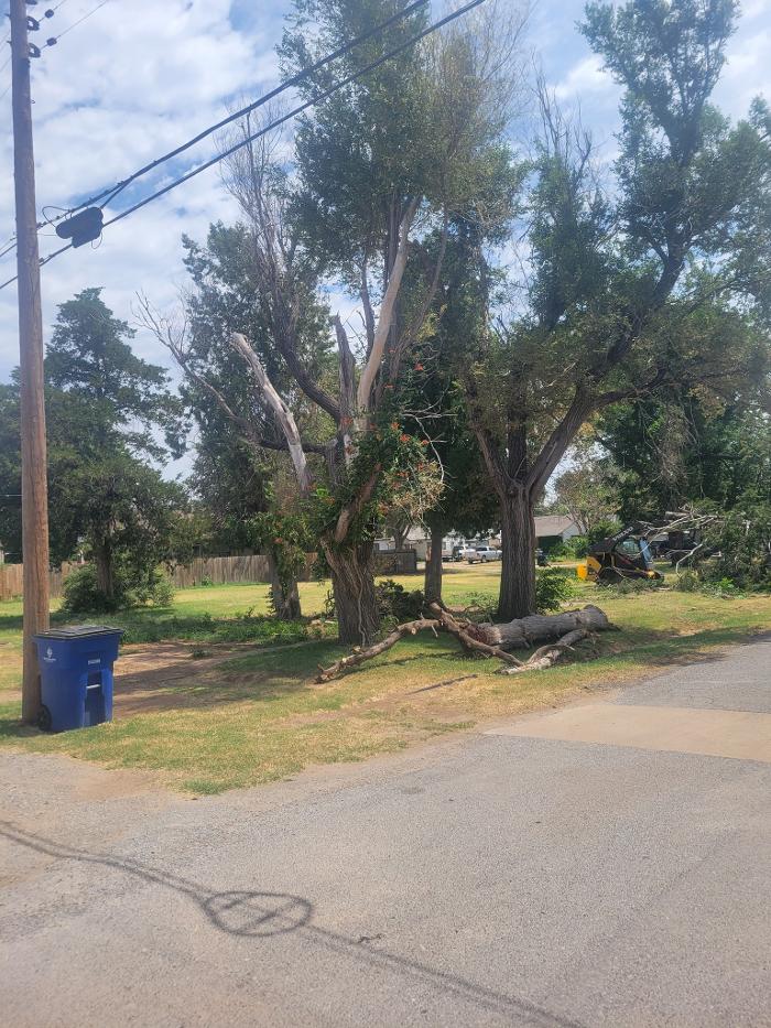 McClure's Tree Service LLC - Cleo Springs, OK