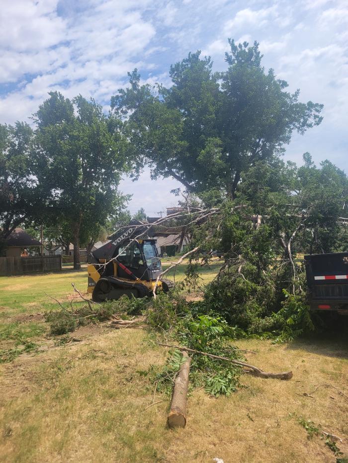 McClure's Tree Service LLC - Cleo Springs, OK