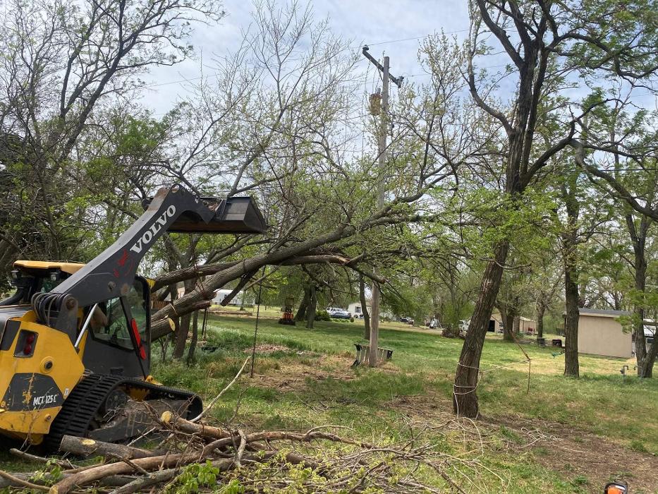 McClure's Tree Service LLC - Cleo Springs, OK