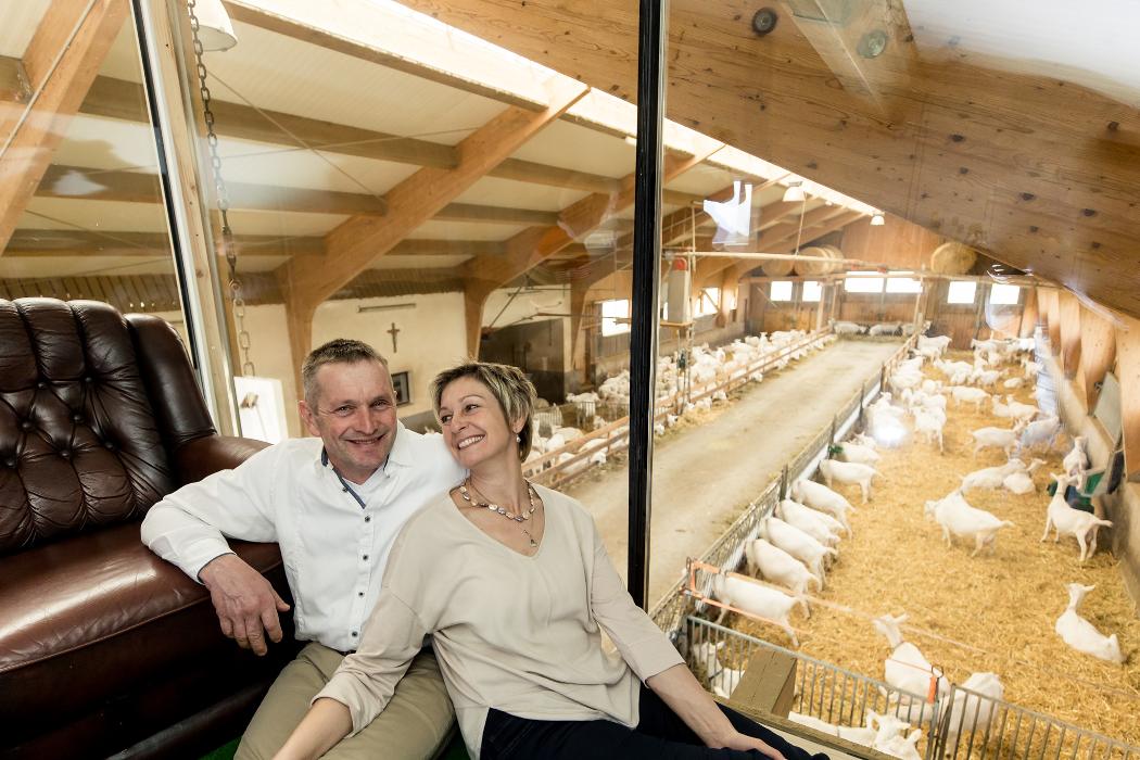 Erholung & Auszeit am Ziegenhof, Hofernstraße in Schlierbach