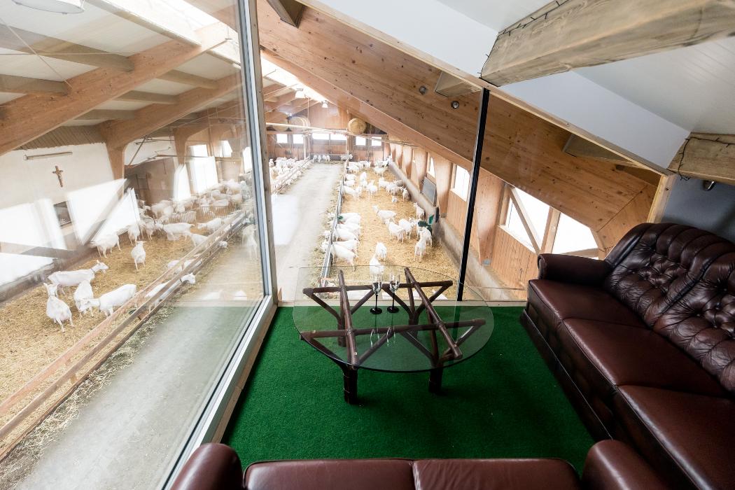 Erholung & Auszeit am Ziegenhof, Hofernstraße in Schlierbach