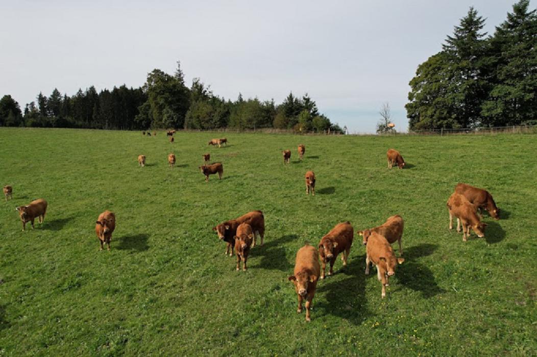 Fotos - Hofgut Mohrenstetten - 13