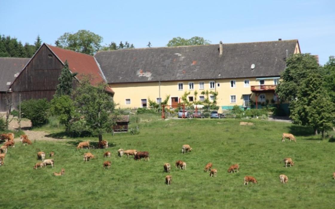 Fotos - Hofgut Mohrenstetten - 4