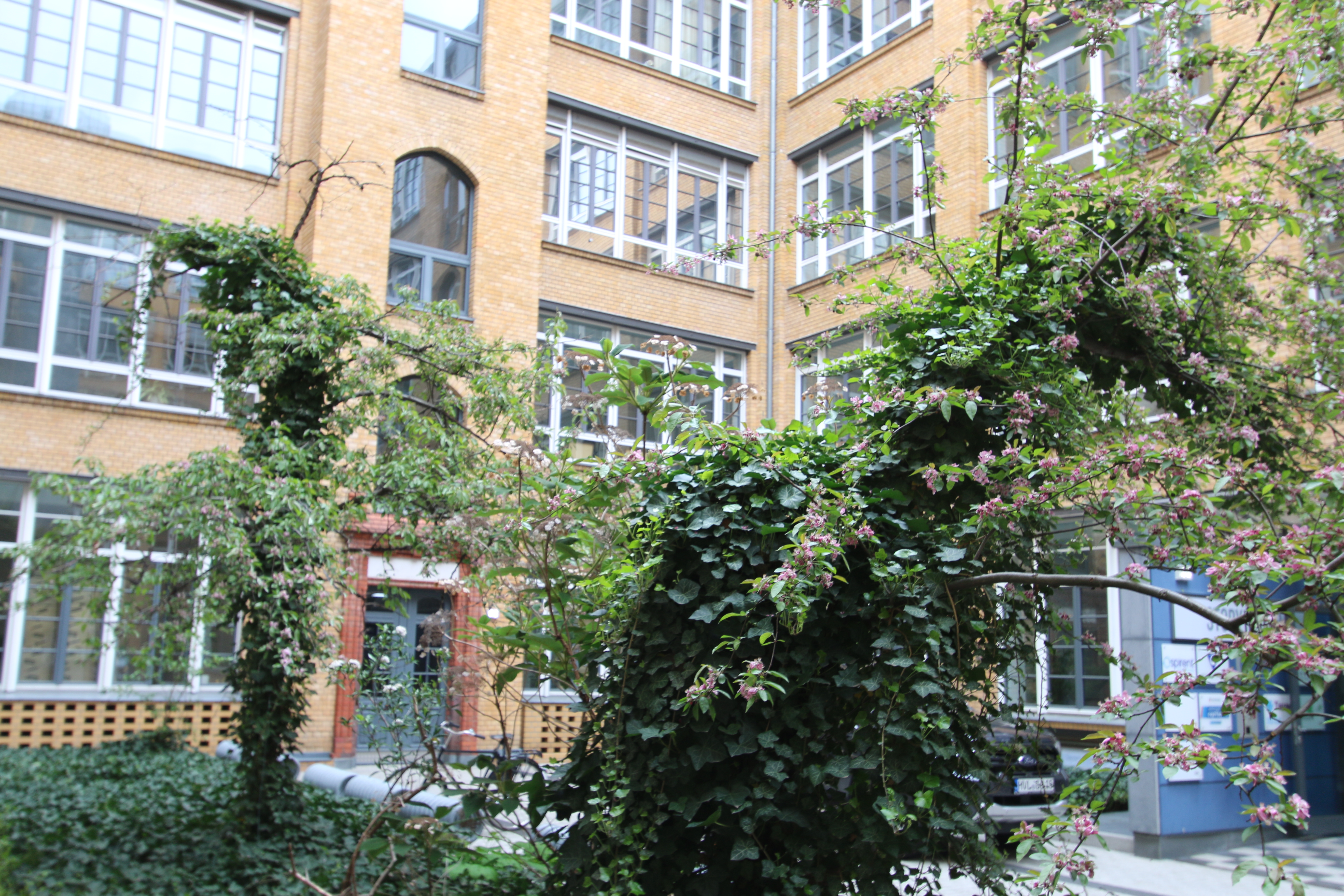 Galerie-Thumbnail
