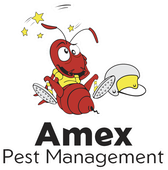 Amex Pest Management - Chula Vista, CA