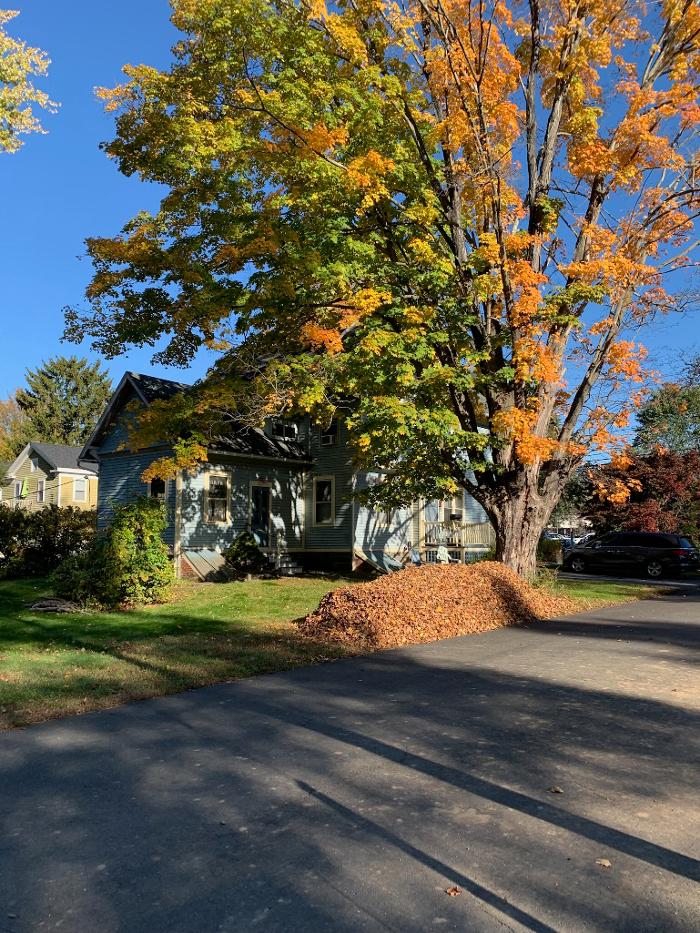 SJ Property Maintenance LLC - Deep River, CT